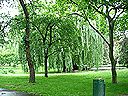 parkprague